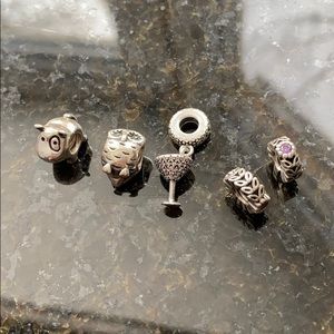 Pandora charms
